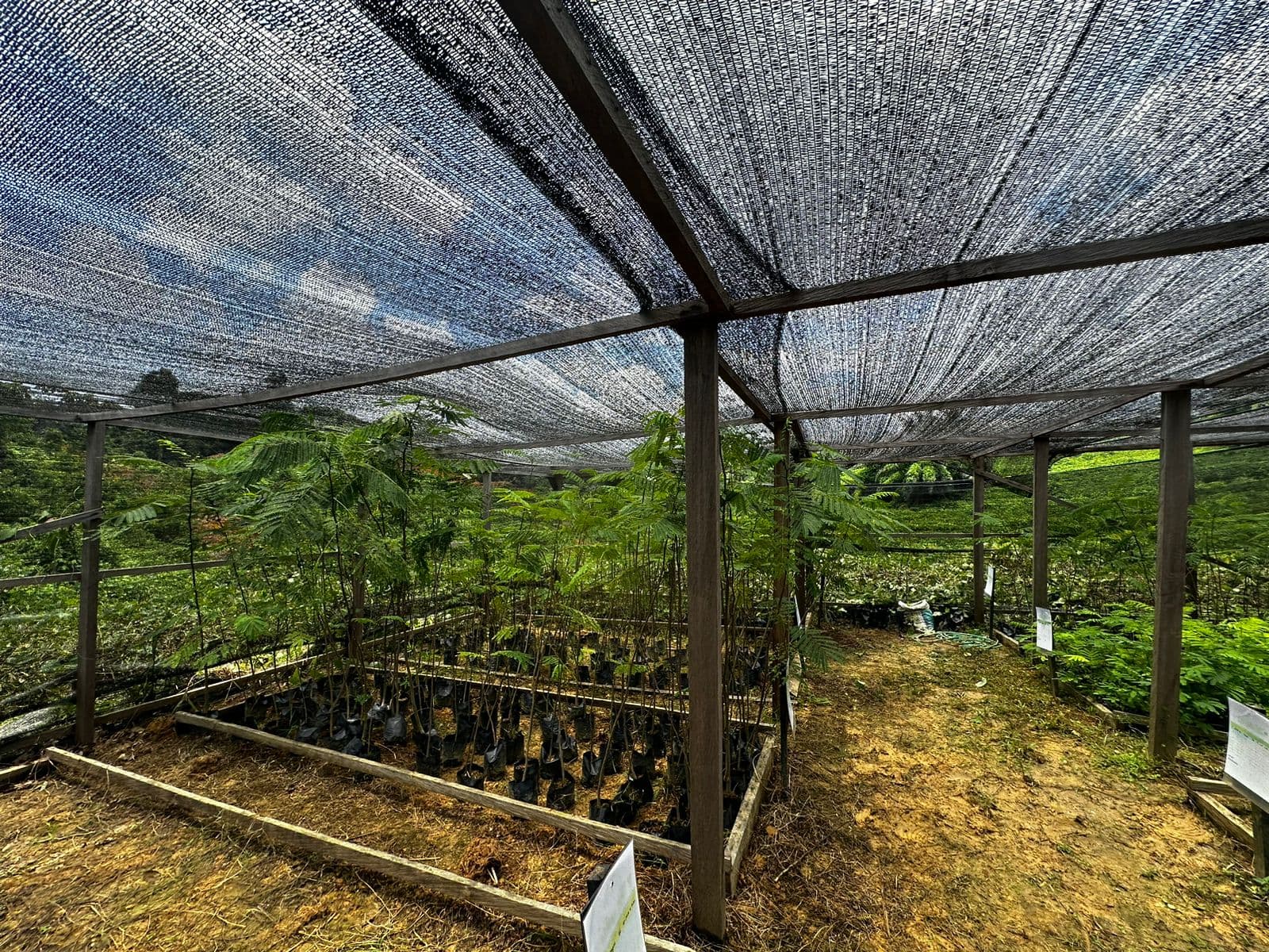 Nursery