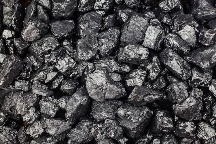 Coal