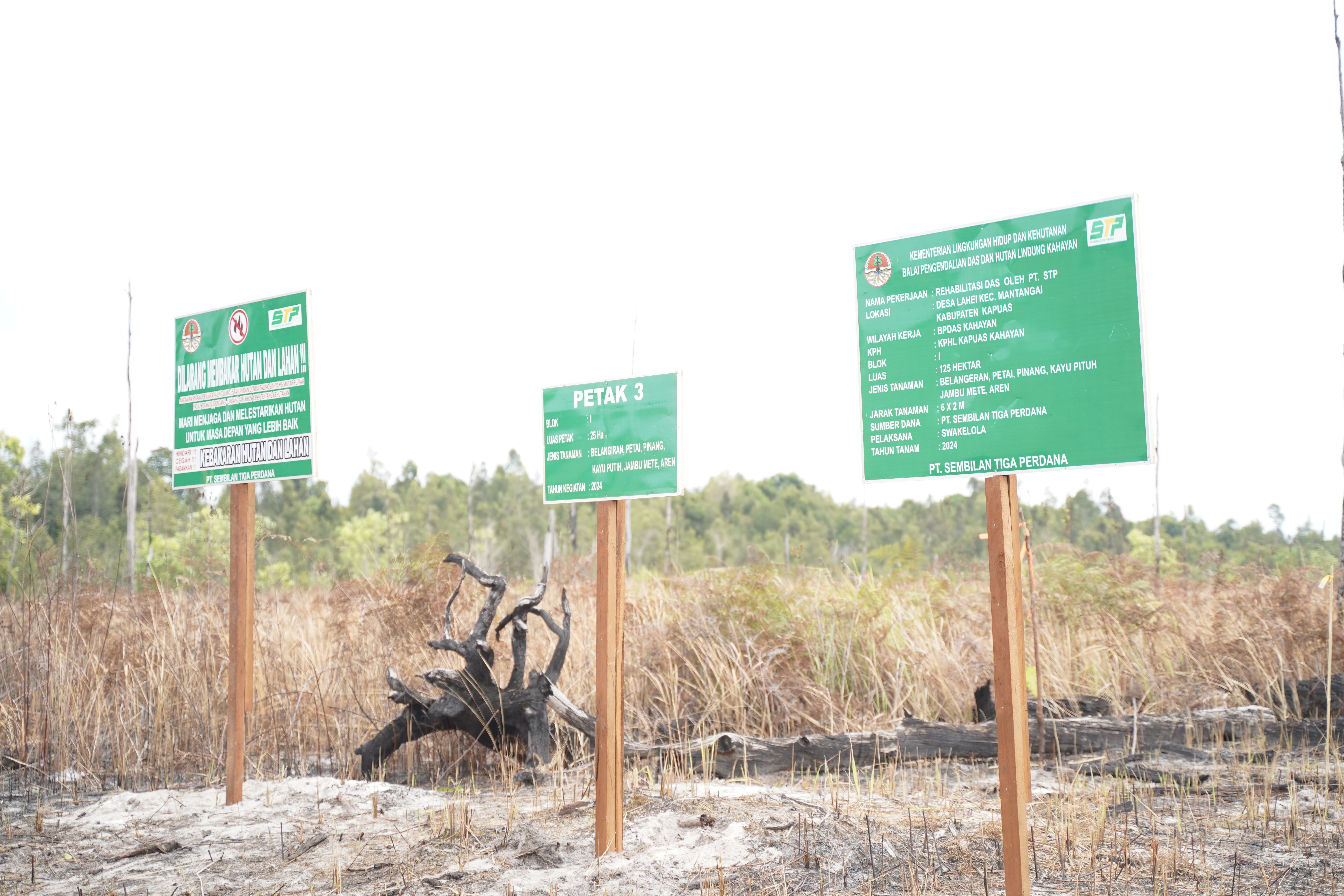 Rehabilitation of Forest and Land in the Watershed Area